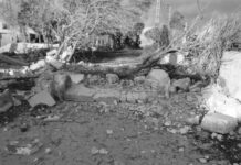 El régimen nazi-sionista continúa violando la soberanía libanesa mientras Beirut presenta una denuncia ante la ONU