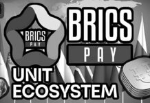 Que es “The Unit” y porque es importante para los BRICS PLUS