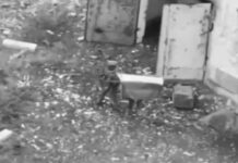 Liberan del nazi-otanismo la ciudad estratégica de Volchansk