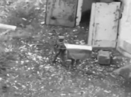 Liberan del nazi-otanismo la ciudad estratégica de Volchansk