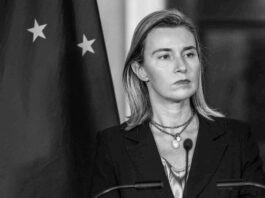 ¿Os acordáis de esa cerda?