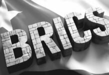 Cuba denuncia bloqueo de EE.UU. en Cumbre Popular del Brics en Brasil