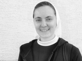 El caso del apuñalamiento de la hermana Zrno