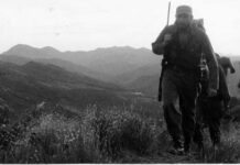 Alegría de Pío: La emboscada que engendró la victoria