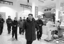 Presidente Kim Jong Un chequea desarrollo fabril en RPDC