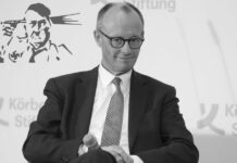 Al neo-nazi Friedrich Merz no le gusta que le llamen «nazi»