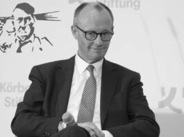 Al neo-nazi Friedrich Merz no le gusta que le llamen «nazi»