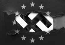 ¿La UE como un Cuarto Reich?: Musk da su veredicto contra Bruselas