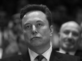 Musk: «Disuelvan la UE»