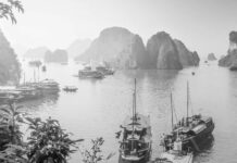 Vietnam bate récord histórico de visitantes internacionales