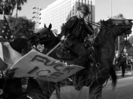 Derechos cubanos en Miami: del «privilegio» a la persecución