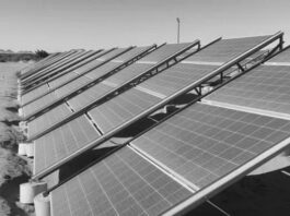 Egipto planea aumentar capacidad de plantas solares hasta 6 gigavatios para 2026