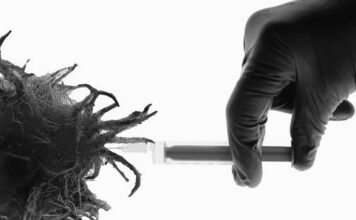 Rusia produce las tres primeras series de prueba de una vacuna contra el cáncer