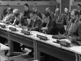 Reafirman apoyo a iniciativa del Presidente Xi para gobernanza global