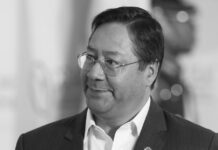 Qué se sabe de la detención de Luis Arce