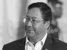 Qué se sabe de la detención de Luis Arce