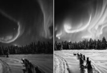 El VIDEO más hermoso del mes: aurora boreal y luna llena en medio de la nieve
