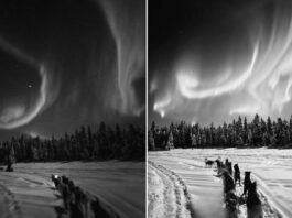 El VIDEO más hermoso del mes: aurora boreal y luna llena en medio de la nieve
