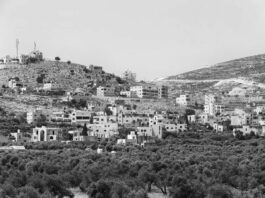 La plaga nazi-sionista sigue expandiéndose: Asentamientos ilegales israelíes alcanzan máximo histórico en Cisjordania