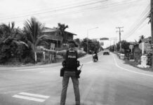 Pax trumpiana: Camboya suspende cruces terrestres con Tailandia tras semana de enfrentamientos