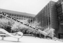 Yanquilandia: Dos supervivientes del tiroteo en la Universidad de Brown ya habían sobrevivido a otros tiroteos