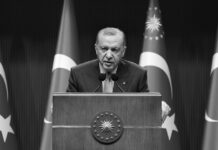 «No beneficia a nadie»: Erdogan advierte sobre los ataques a barcos en el mar Negro