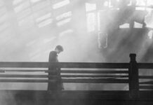 Nuevos sueños y bienvenidas para el cine chino contemporáneo