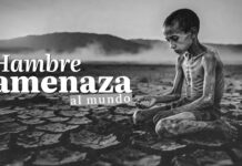 La humanidad sufre una crisis alimentaria sin precedentes