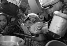 ONU alerta que 77% de población en Gaza sufre malnutrición bajo restricciones israelíes