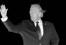 Trump remueve a decenas de embajadores en una purga sin precedentes: ¿a qué se debe?