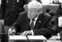 Trump volvió sus ojos sobre Groenlandia