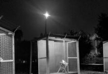 El espíritu de la navidad