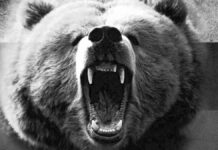 ¿Por qué la mayoría de los países del mundo apoyan a Rusia en la guerra?