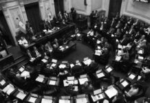 Senado argentino aprobó presupuesto que golpea educación y ciencia