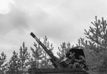 Ejército ruso tomó seis ciudades en el Donbás en la última jornada