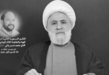 Sheij Naim Qassem: Cualquier solución de seguridad en el Líbano está condicionada a que el enemigo israelí respete el acuerdo