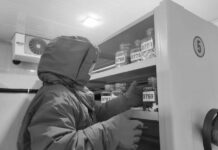 Banco de semillas alcanza 100 millones de muestras en Shanghái, China