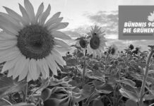 La Unión Europea se desprende de sus señas de identidad verdes