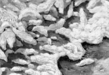 La quimera de un nuevo año