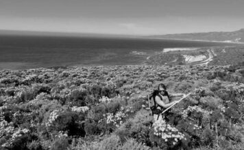 Estudio de flores desde el aire prevé cambios en ecosistemas