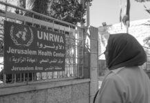 ONU alerta sobre colapso humanitario en Gaza por restricción de Israel contra ONG