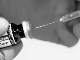 Método de purificación de sangre será probado como vacuna del cáncer