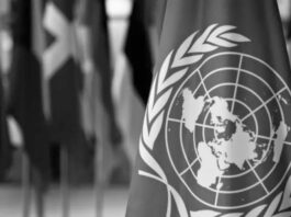 Grupo de Amigos en Defensa de la Carta de las Naciones Unidas condena agresión de EE.UU.