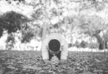 La trampa de la súplica: cuando los movimientos sociales renuncian a su poder transformador