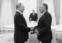 El suflé del plan Witkoff para Ucrania