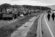 UE y Mercosur aprueban acuerdo que amenaza a pequeños productores y la soberanía alimentaria