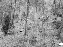 Pionyang derriba un dron espía surcoreano