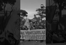 El mundo protesta en solidaridad con Venezuela