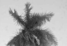 Dirigente partidista cubano reafirma defensa de soberanía nacional