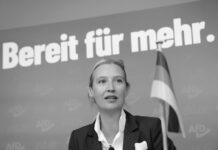 No es posible reactivar la industria alemana sin los recursos rusos, afirma Weidel